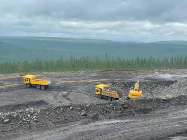 В СО РАН назвали 10 перспективных для кластера редкоземов месторождений