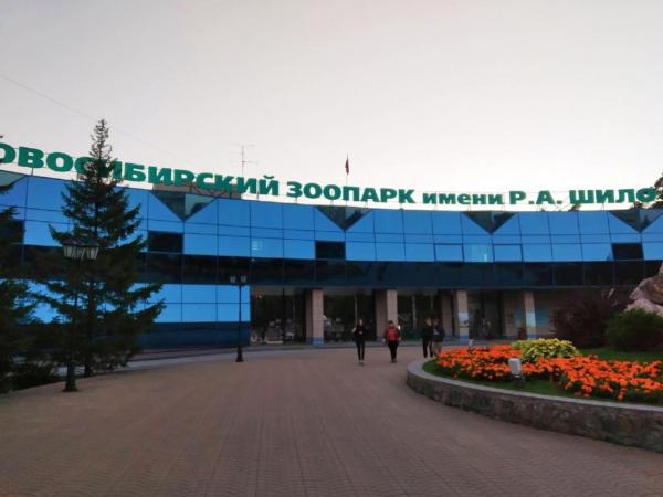 Руководство новосибирского Зоопарка рассказало о планах на будущее