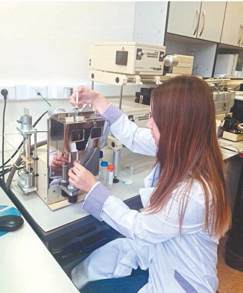 Сибирские ученые оттачивают инструменты геномного редактирования
