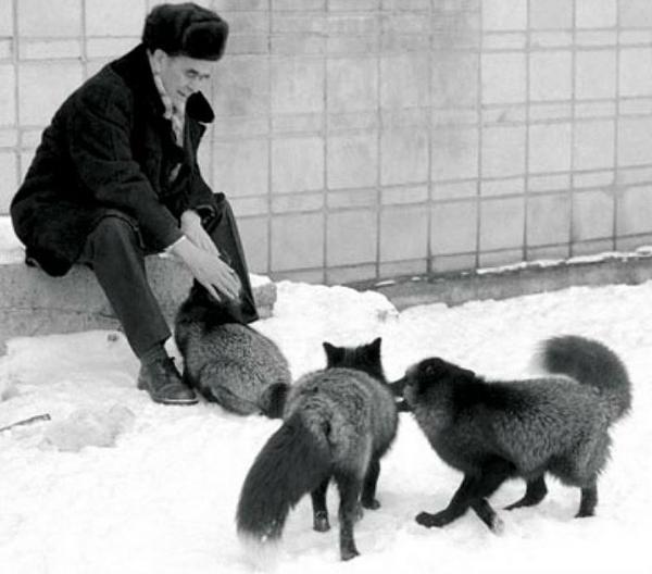 17 июля исполняется сто лет со дня рождения академика Дмитрия Константиновича Беляева