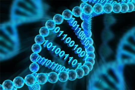 НИИКЭЛ выступил организатором симпозиума CSGB