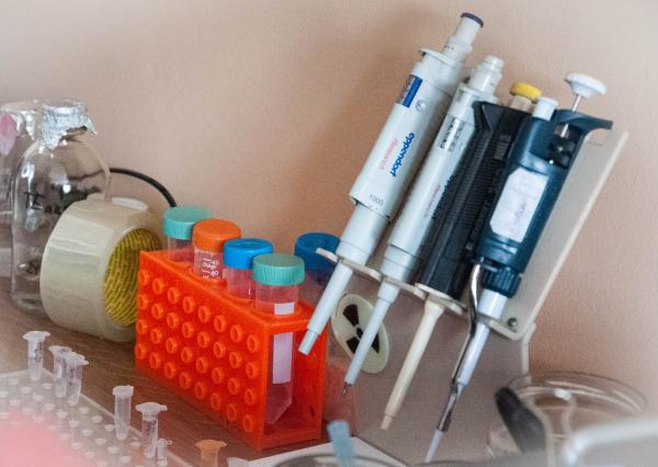 С заболеванием можно бороться посредством клеток собственного организма — в том числе, чтобы минимизировать побочные эффекты