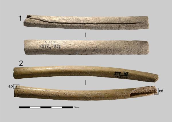 Общий вид костяных игольников, фото ИАЭТ СО РАН