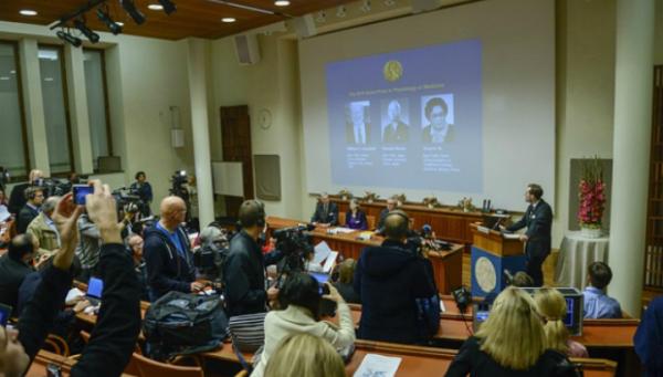Потоки нейтрино, лечение полынью «по науке» и «ремонт» ДНК