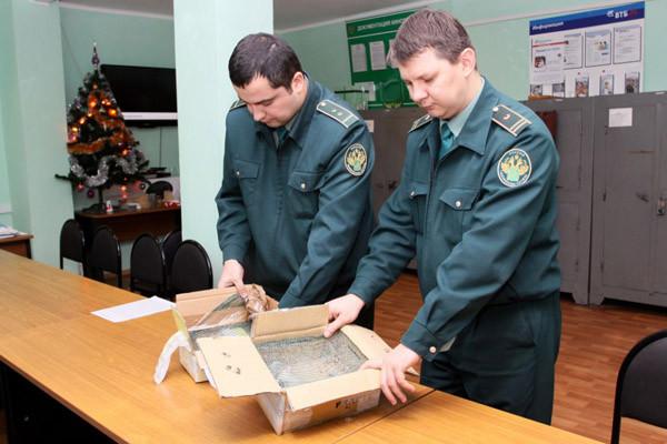 Повезет ли с ввозом?