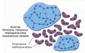Кластеры и свободные молекулы в воде