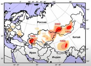 Современная оценка численности балобана
