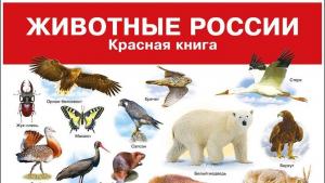 Экосистема из многих видов более устойчива к разным внешним воздействиям