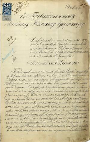 Посетитель сайта сможет увидеть оригинал документа, изображение, сканированное в высоком разрешении