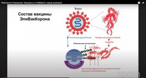 Состав вакцины ЭпиВакКорона