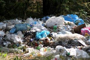 Только один Новосибирск ежегодно «выдает» 3,5 миллиона тонн твердых бытовых отходов
