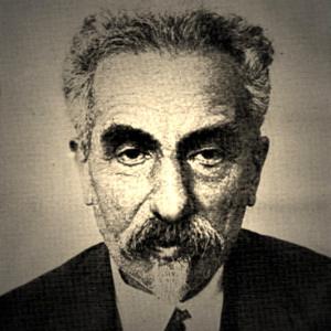 Николай Марр считал главным языком мира грузинский и предлагал сжечь все дореволюционные учебники по лингвистике