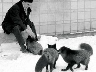 17 июля исполняется сто лет со дня рождения академика Дмитрия Константиновича Беляева
