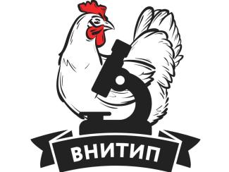 Отечественный кросс кур полностью заменит иностранные аналоги в России