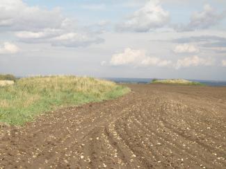 Новосибирские ученые изучают наследие дореволюционной археологии Новосибирские ученые изучают наследие дореволюционной археологии