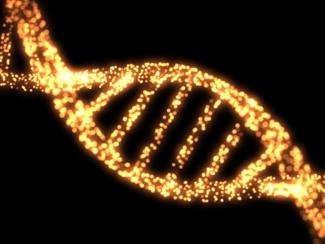 Ученые подтвердили гипотезу о генетической связи скифов с древним населением Алтая Ученые подтвердили гипотезу о генетической связи скифов с древним населением Алтая