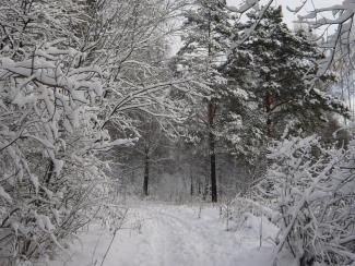 Как названия снега у якутов отражают их образ жизни Как названия снега у якутов отражают их образ жизни