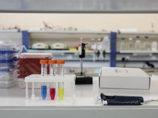 Власть озвучила новые задачи для отечественной селекции