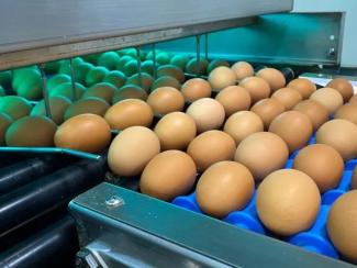 О забытой работе советских ученых по лучевой обработке пищевых продуктов