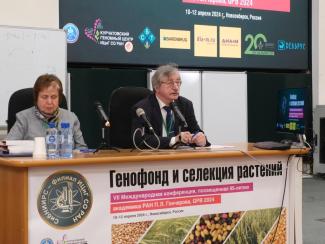 Как выглядит продовольственная безопасность с сибирским акцентом
