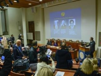 Потоки нейтрино, лечение полынью «по науке» и «ремонт» ДНК