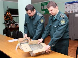 Повезет ли с ввозом?